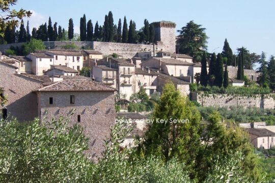 Illustrazione per l'articolo «Spello, Splendissima»: Le Infiorate di Spello: lo spettacolo del Corpus Domini.